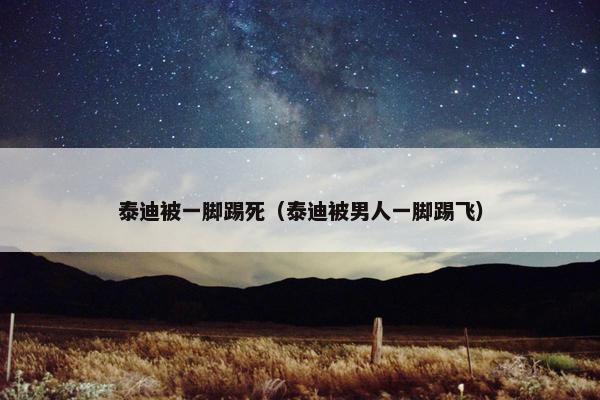 泰迪被一脚踢死（泰迪被男人一脚踢飞）