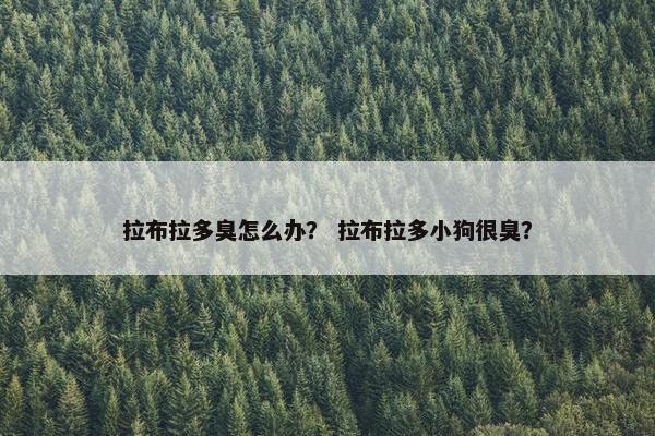 拉布拉多臭怎么办？ 拉布拉多小狗很臭？