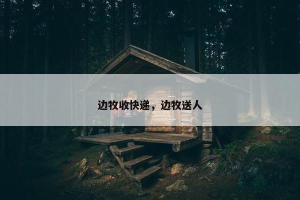 边牧收快递，边牧送人