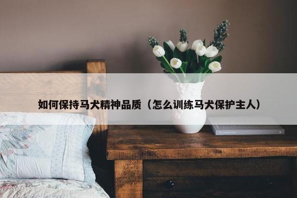 如何保持马犬精神品质（怎么训练马犬保护主人）
