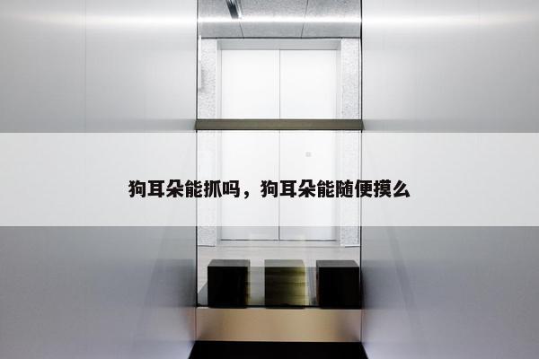 狗能 第13页
