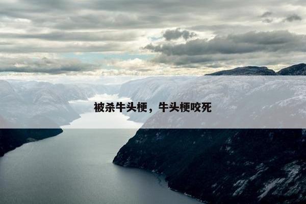 被杀牛头梗，牛头梗咬死