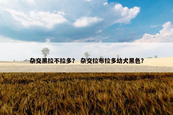 杂交黑拉不拉多？ 杂交拉布拉多幼犬黑色？