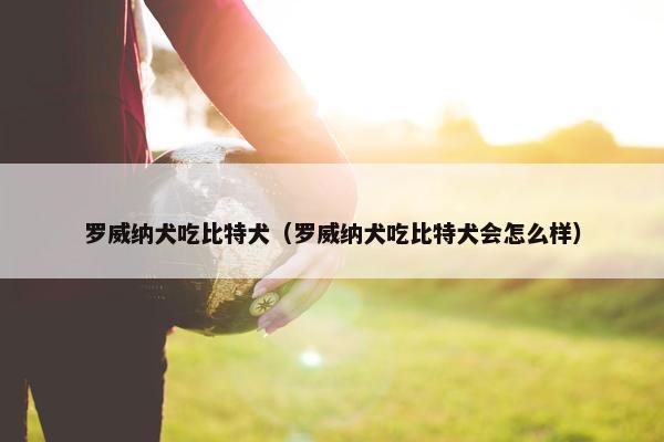 罗威纳犬吃比特犬（罗威纳犬吃比特犬会怎么样）