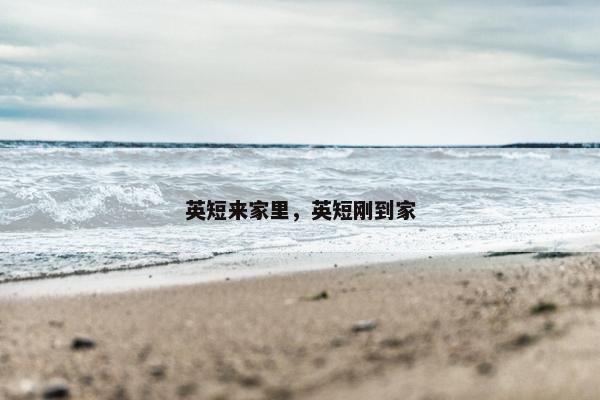 英短来家里，英短刚到家