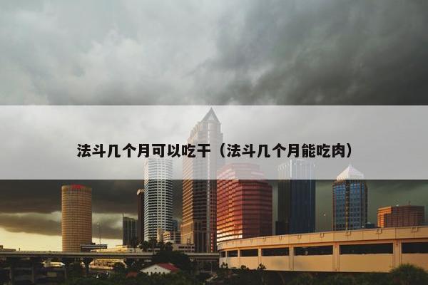 法斗几个月可以吃干（法斗几个月能吃肉）