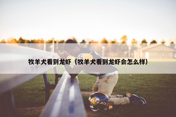 黑猩猩