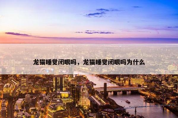 龙猫睡觉闭眼吗，龙猫睡觉闭眼吗为什么