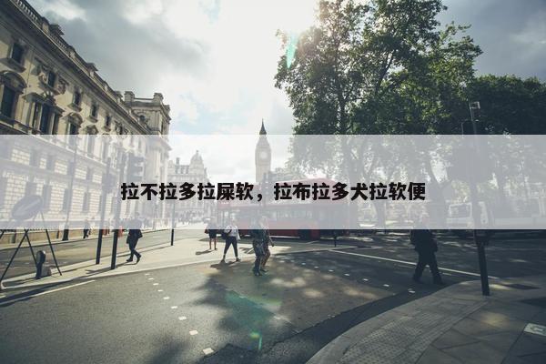 拉不拉多拉屎软，拉布拉多犬拉软便