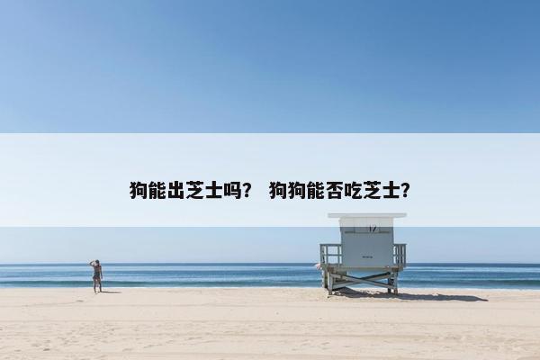 狗能出芝士吗？ 狗狗能否吃芝士？