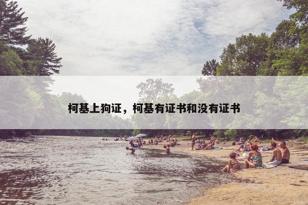 柯基上狗证，柯基有证书和没有证书