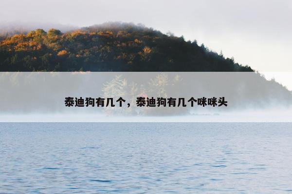 泰迪狗有几个，泰迪狗有几个咪咪头