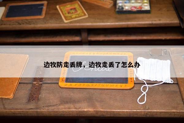 边牧防走丢牌,边牧走丢了怎么办