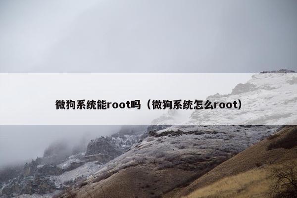 微狗系统能root吗（微狗系统怎么root）