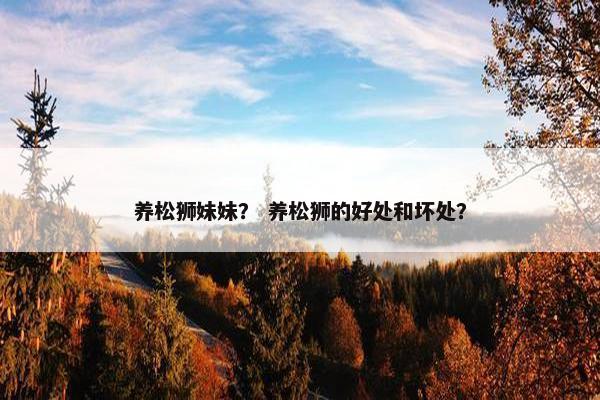养松狮妹妹？ 养松狮的好处和坏处？
