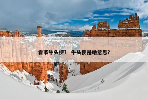 看家牛头梗？ 牛头梗是啥意思？