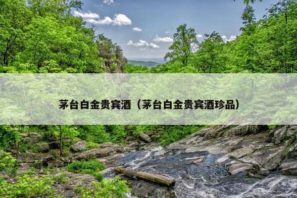 茅台白金贵宾酒（茅台白金贵宾酒珍品）