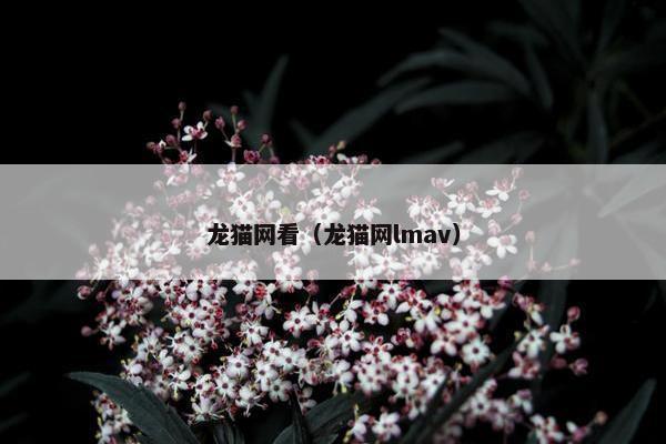 龙猫网看（龙猫网lmav）