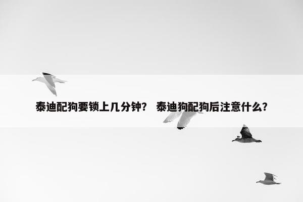 泰迪配狗要锁上几分钟？ 泰迪狗配狗后注意什么？