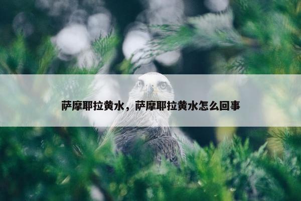 萨摩耶拉黄水，萨摩耶拉黄水怎么回事