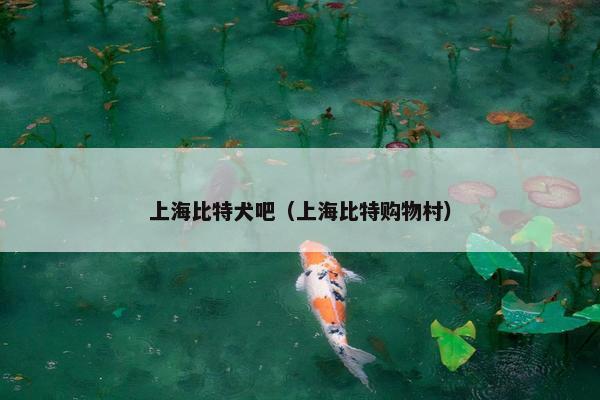 上海比特犬吧（上海比特购物村）