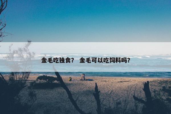 金毛吃独食？ 金毛可以吃饲料吗？