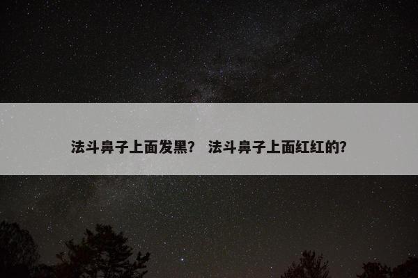 法斗 第11页