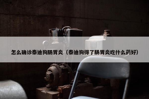 怎么确诊泰迪狗肠胃炎（泰迪狗得了肠胃炎吃什么药好）