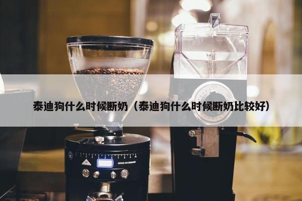 泰迪狗什么时候断奶（泰迪狗什么时候断奶比较好）