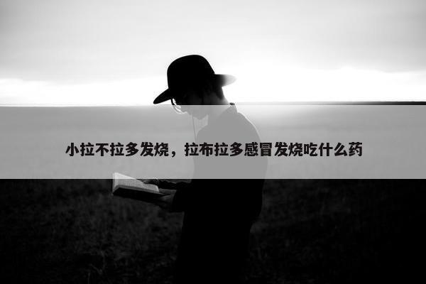 小拉不拉多发烧，拉布拉多感冒发烧吃什么药