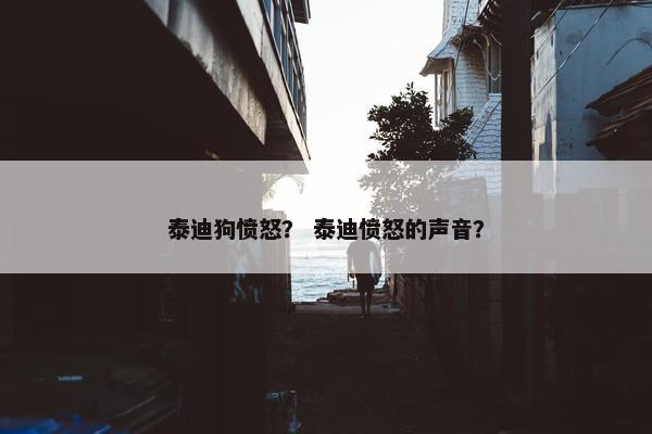 泰迪狗愤怒？ 泰迪愤怒的声音？
