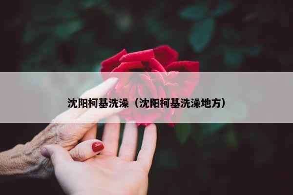 沈阳柯基洗澡（沈阳柯基洗澡地方）