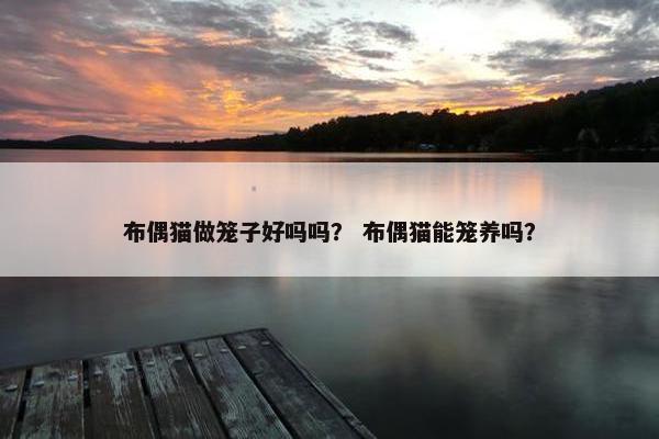 布偶猫做笼子好吗吗? 布偶猫能笼养吗?
