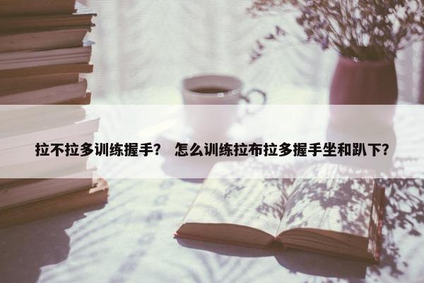 拉不拉多训练握手? 怎么训练拉布拉多握手坐和趴下?