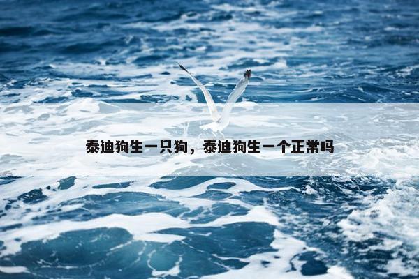 泰迪狗生一只狗，泰迪狗生一个正常吗