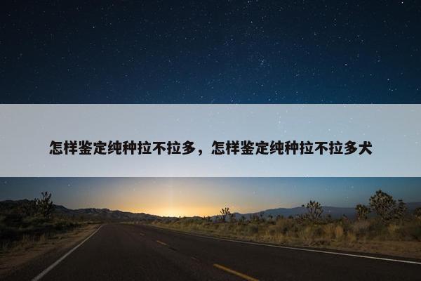 怎样鉴定纯种拉不拉多,怎样鉴定纯种拉不拉多犬