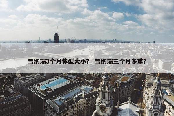 雪纳瑞3个月体型大小？ 雪纳瑞三个月多重？