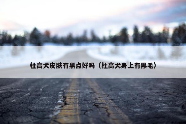 杜高犬皮肤有黑点好吗（杜高犬身上有黑毛）