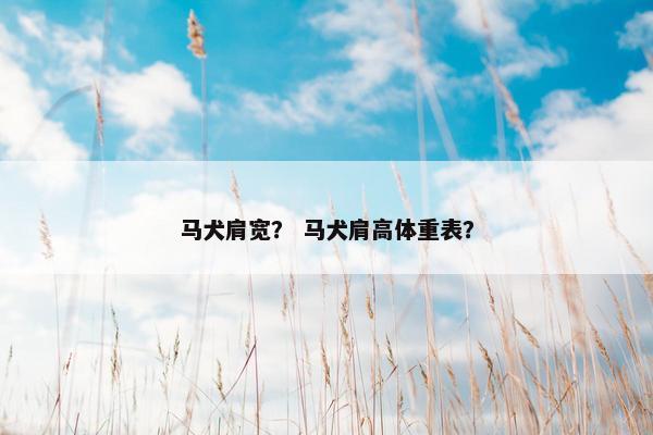 马犬肩宽? 马犬肩高体重表?