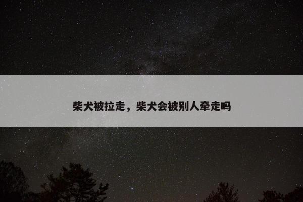 柴犬被拉走，柴犬会被别人牵走吗