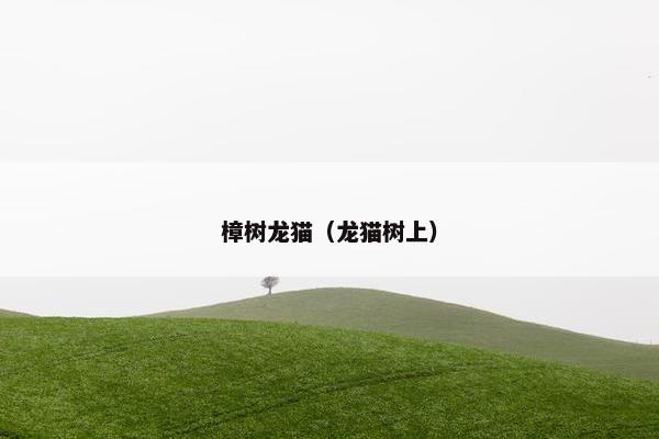 樟树龙猫（龙猫树上）