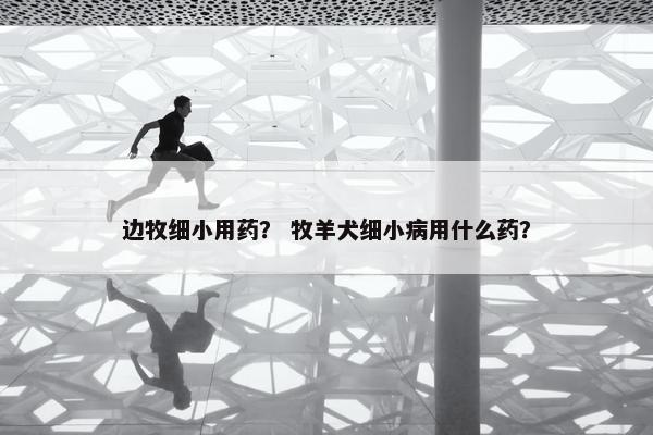 边牧细小用药？ 牧羊犬细小病用什么药？