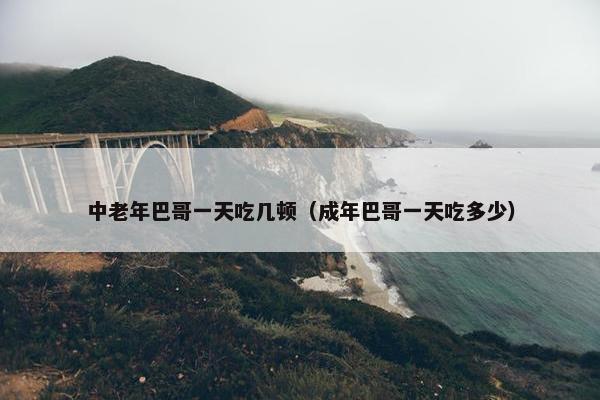 中老年巴哥一天吃几顿（成年巴哥一天吃多少）