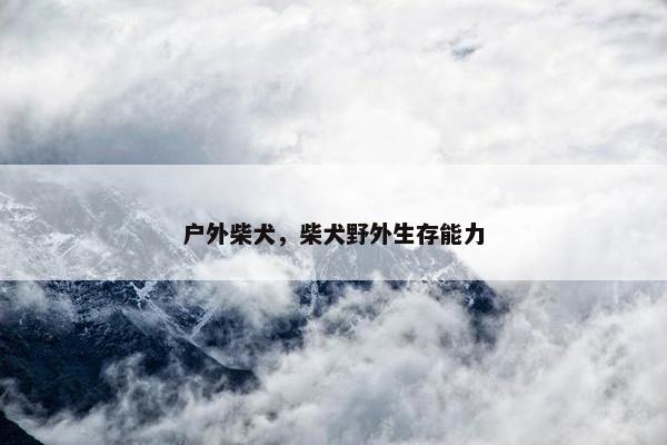 户外柴犬，柴犬野外生存能力