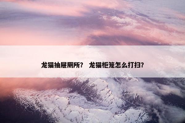 龙猫抽屉厕所？ 龙猫柜笼怎么打扫？