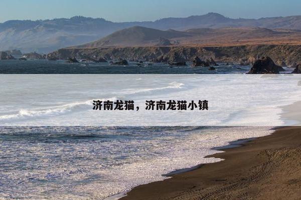 济南龙猫，济南龙猫小镇
