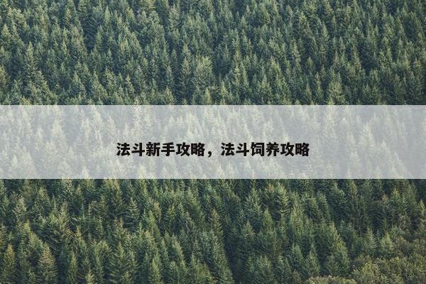 法斗新手攻略，法斗饲养攻略