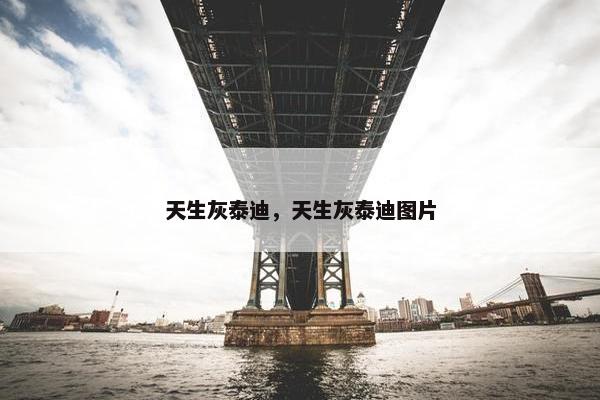 天生灰泰迪，天生灰泰迪图片