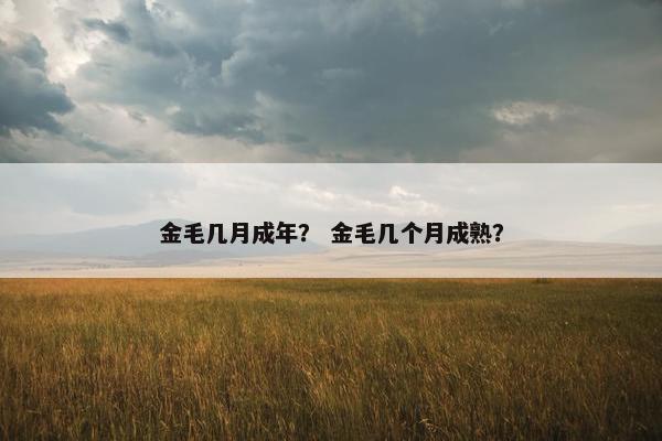 金毛几月成年? 金毛几个月成熟?