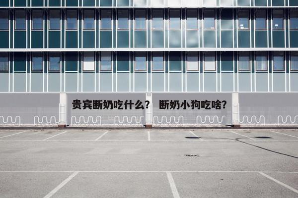 贵宾断奶吃什么？ 断奶小狗吃啥？